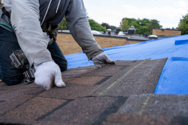 Best Roof Waterproofing Services  in Weston, OH